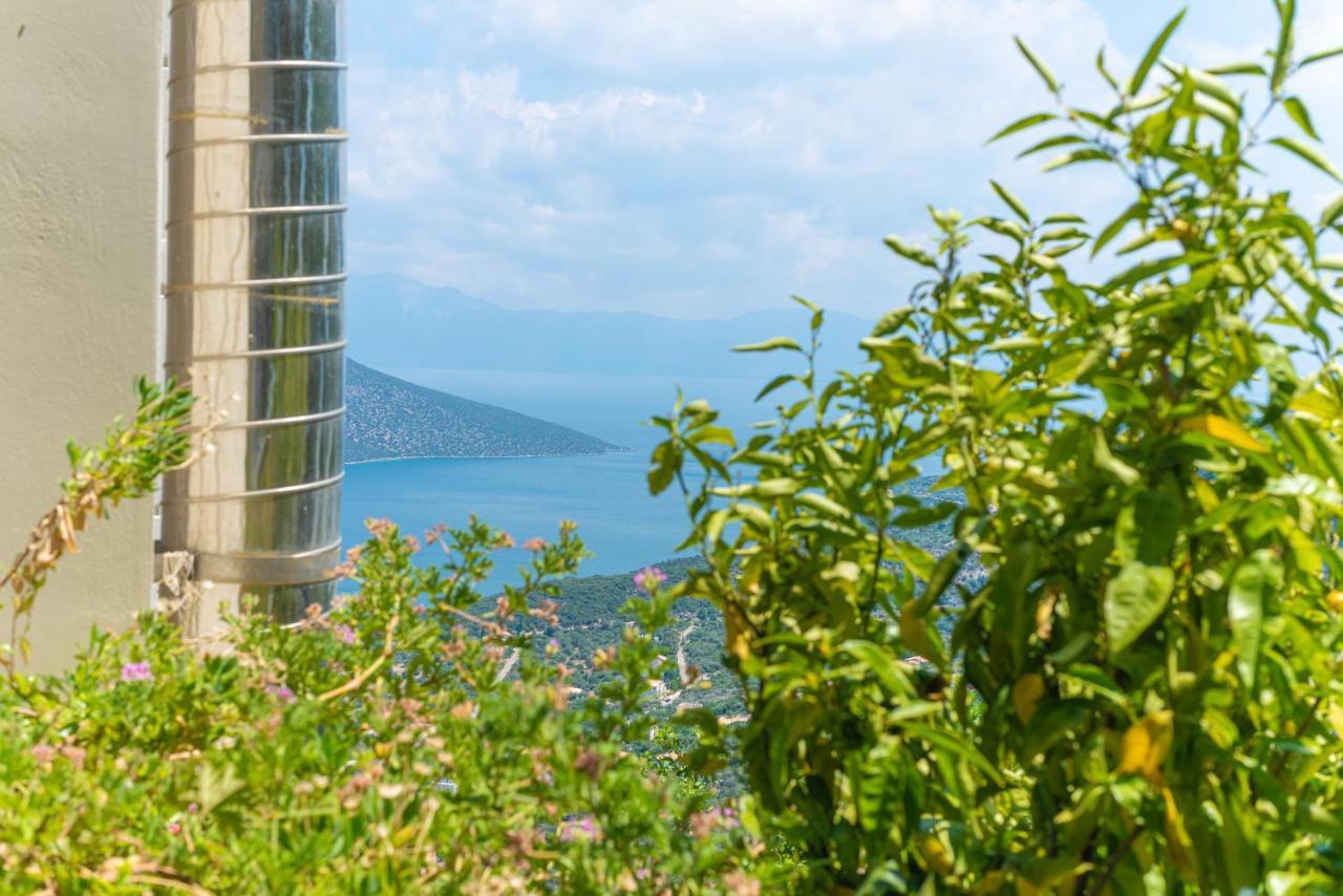 View Holiday home