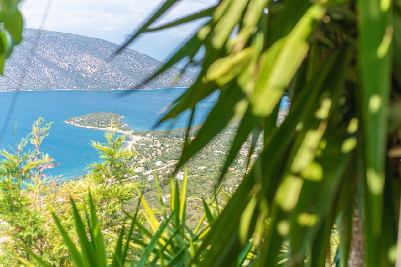 Tatil Evi View