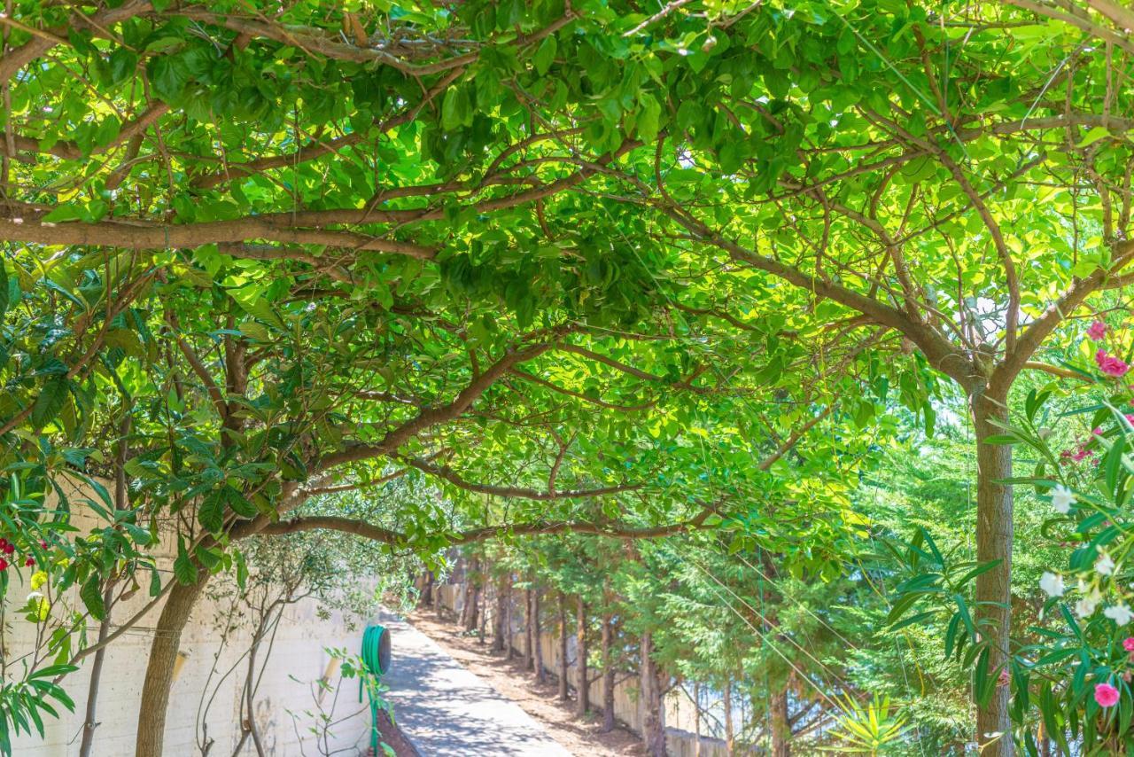Tatil Evi View